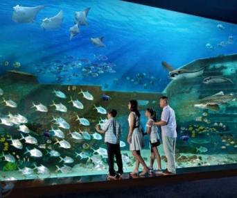 PRIVATE TOUR: SENTOSA ISLAND AFTERNOON TOUR ( 4 HOURS ) - Image 2